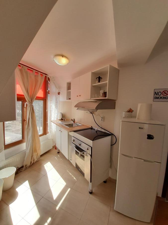 Ferienwohnung Casa Olguta Sinaia Exterior foto
