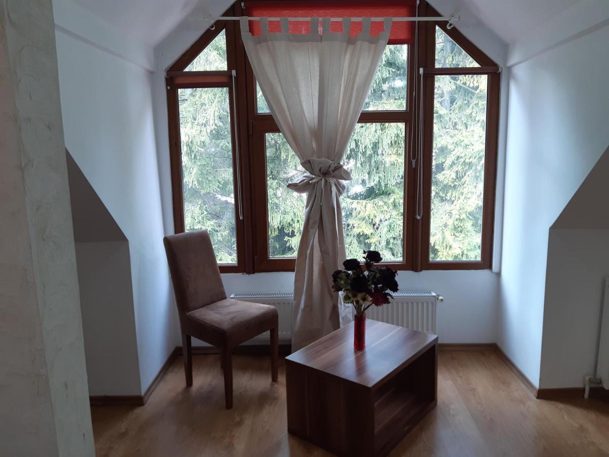 Ferienwohnung Casa Olguta Sinaia Exterior foto