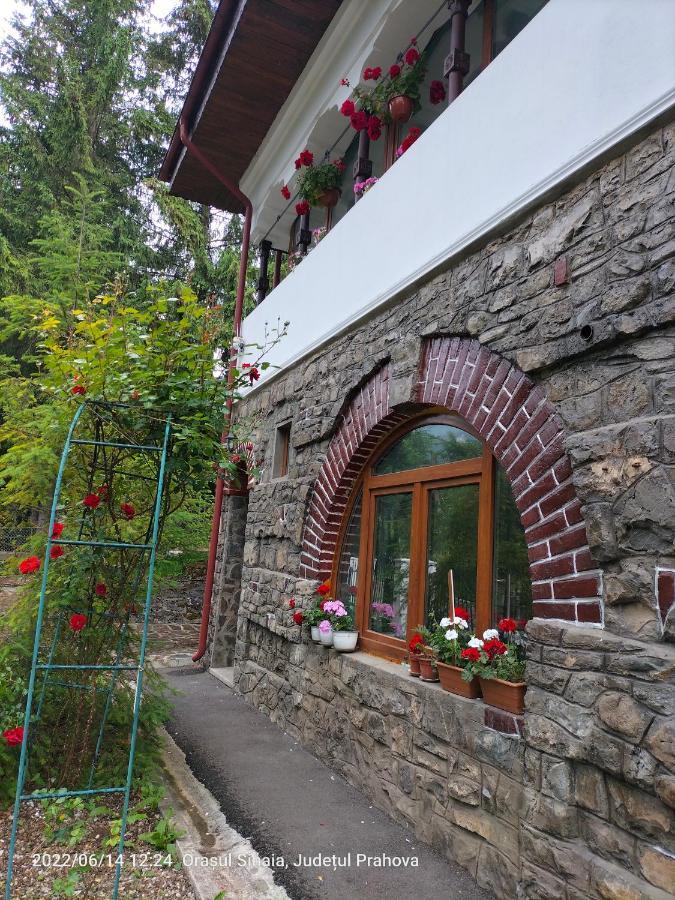Ferienwohnung Casa Olguta Sinaia Exterior foto