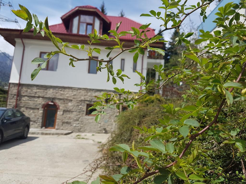Ferienwohnung Casa Olguta Sinaia Exterior foto